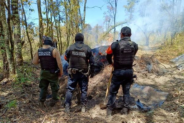 En el operativo, también se encontraron dos hornos ilegales de deshidratación de madera en el Parque Nacional La Malinche