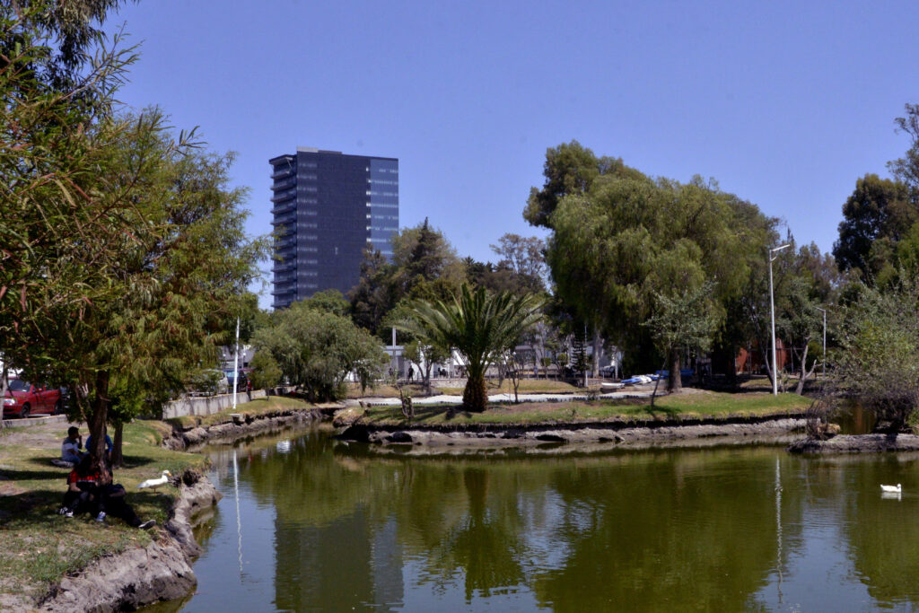 laguna
