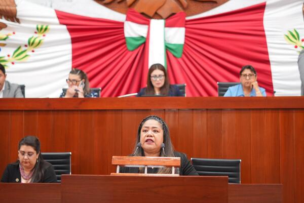 La legisladora destacó que el derecho al acceso a las TICs, como el Internet, está reconocido por instrumentos jurídicos internacionales