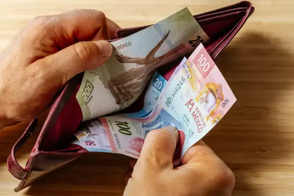 Se prendieron los focos rojos sobre la economía nacional, una vez que se dieron pronósticos de parálisis e incluso augurios de recesión