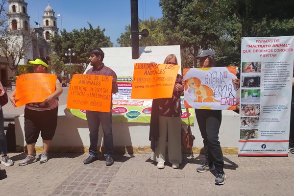 Acusan levantamiento y posible sacrificio de perros callejeros en Tehuacán