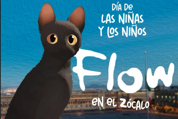 Flow recaudó en México alrededor de 6.7 millones de dólares en taquilla, lo que representa el 19% de todas sus ganancias a nivel global.