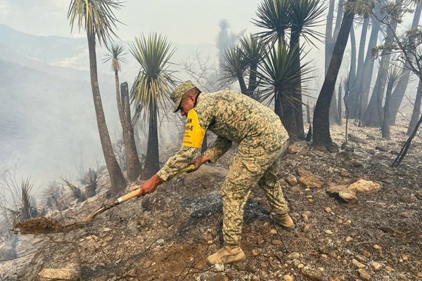 Controlado tercer incendio en el Cerro Colorado de Tehuacán van 50 hectáreas devastadas en abril