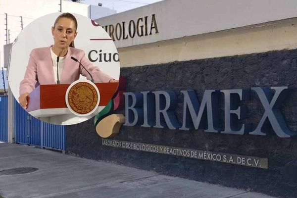 Sheinbaum dijo que no van a permitir colusión; informó que funcionarios de Birmex, entre ellos el director, fueron separados de su cargo