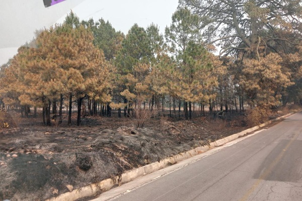 Gestiona gobierno de Tlaxcala apoyo de helicópteros para combatir incendio