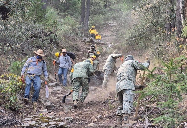 Gobierno de Tlaxcala reporta que fue sofocado al 100% el incendio forestal en Atltzayanca