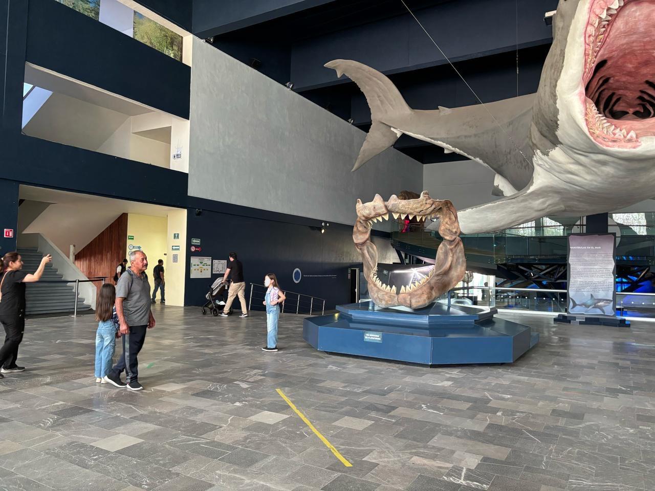 La dirección de Museos Puebla invita a las familias poblanas y al turismo, a visitar y disfrutar la riqueza museística que ofrece la entidad