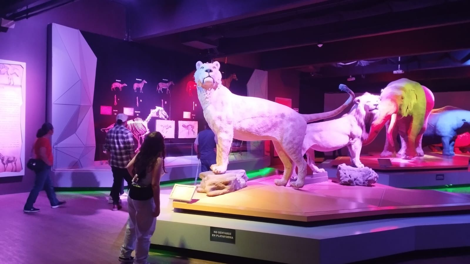 La dirección de Museos Puebla invita a las familias poblanas y al turismo, a visitar y disfrutar la riqueza museística que ofrece la entidad