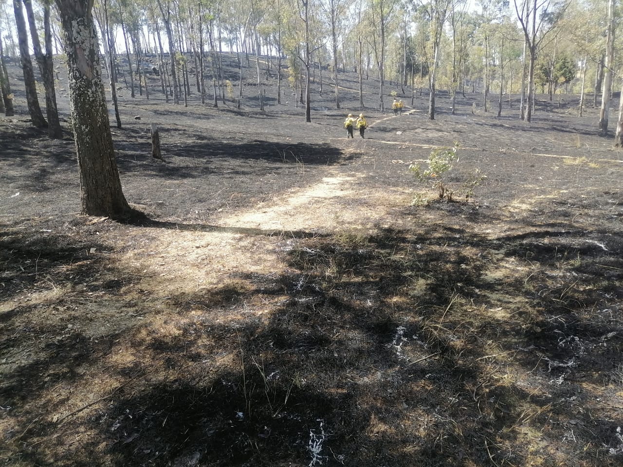 Este 22 de abril, durante el combate de un incendio que afectó 6 hectáreas del cerro Zapotecas, los fuertes vientos complicaron las labores