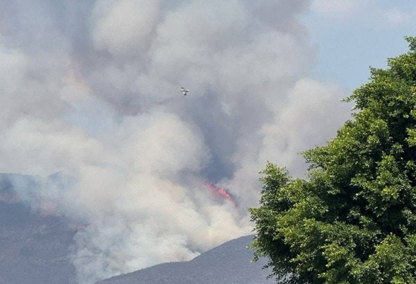 Se registra fuerte incendio en el Cerro Colorado