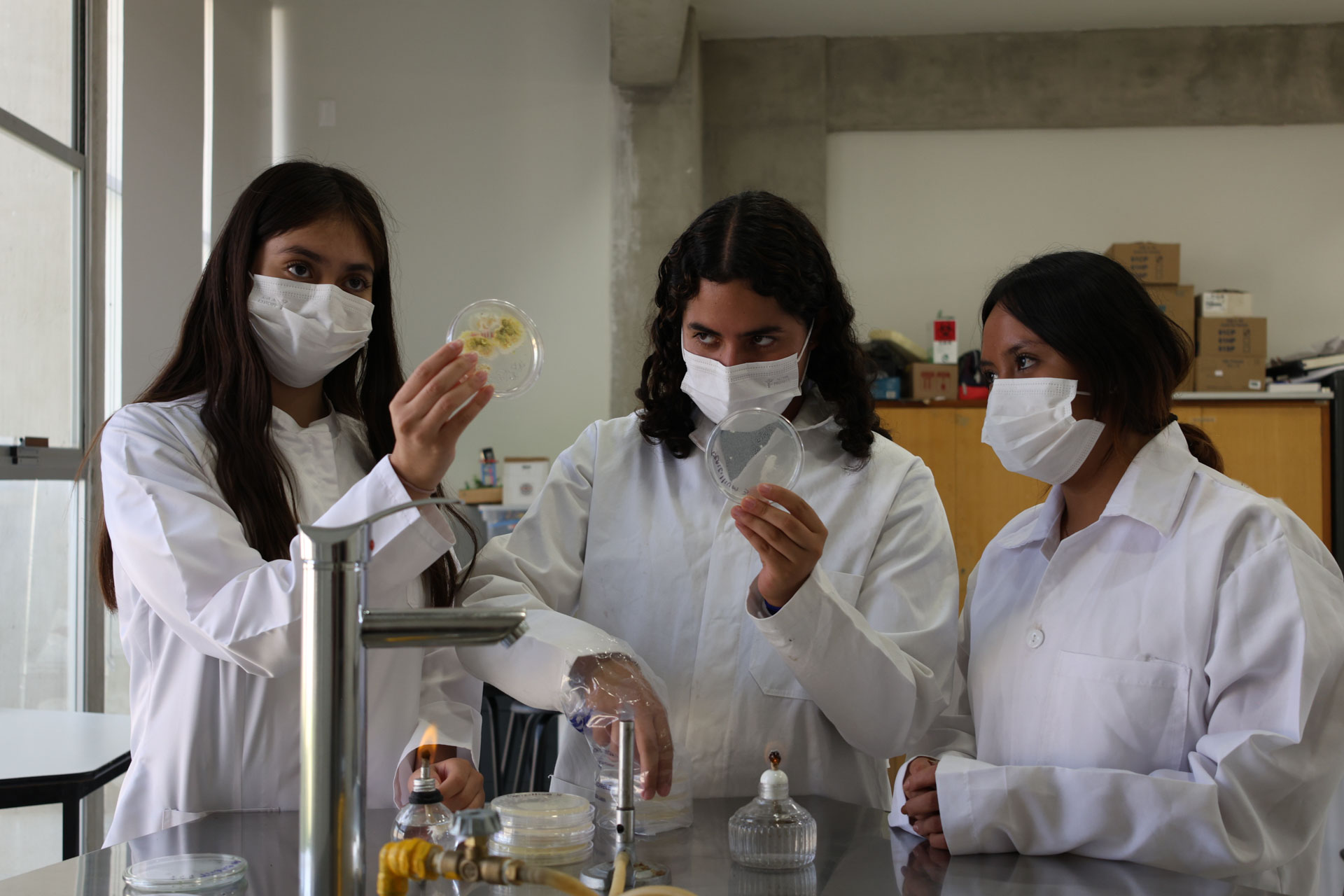 Las estudiantes de la Prepa IBERO Tlaxcala participarán en la MILSET Expo-Ciencias, gracias a su control biológico de plagas con hongos