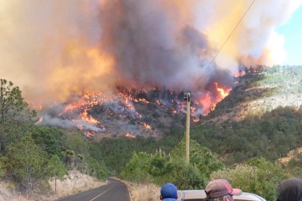 Tlaxcala bajo fuego reportan incendios forestales en Atltzayanca, Chiautempan e Ixtacuixtla
