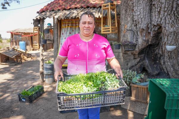 Secretaría de Bienestar entrega 750 plántulas e insumos a beneficiarios del programa “Autosuficiencias Alimentaria para tu Bienestar”