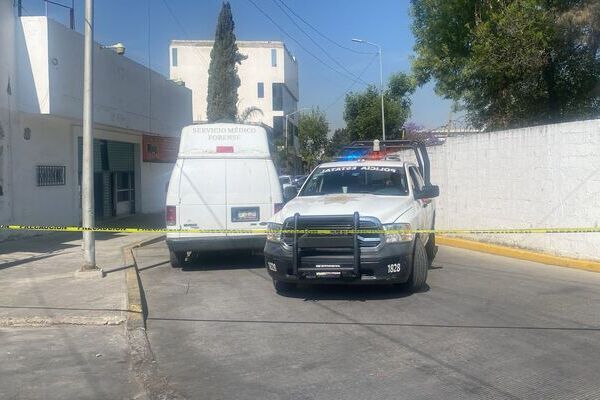 Fiscalía General de Puebla encuentra a un Jaguar durante cateo en San Jerónimo Caleras 
