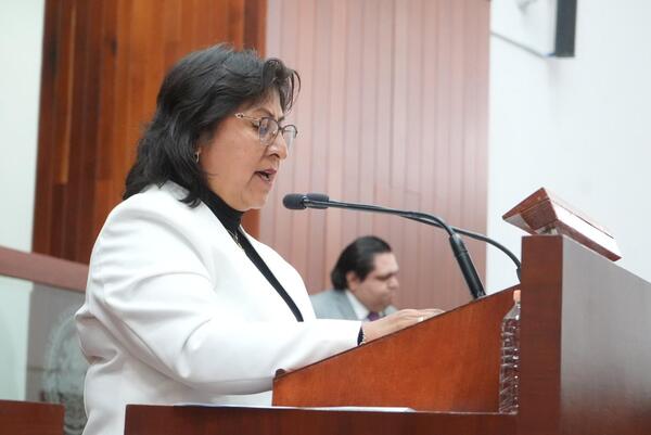 La iniciativa será para proteger y ampliar los derechos político-electorales de las personas migrantes, un sector históricamente marginado