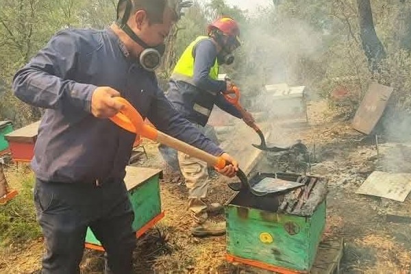 A más de 25 meses de la entrada en vigor de la Ley de Bienestar Animal, no se conoce la existencia de un plan de contingencia animal