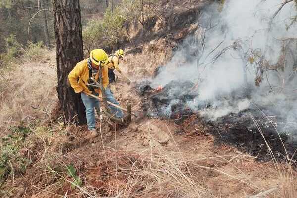 Más de 54 mil litros se han descargado en el incendio forestal Libres y se han distribuido brigadas conforme la necesidad del territorio