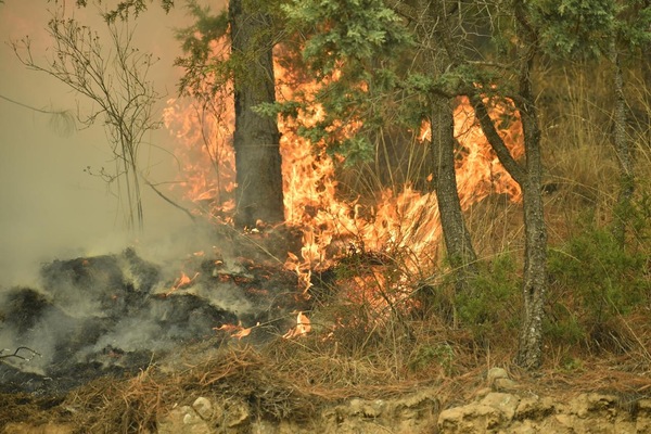 Ordenaron la evacuación de las comunidades luego de que los brigadistas declararon incontrolable el incendio forestal