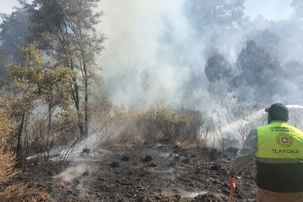Protección Civil de Tlaxcala recomendó a la población evitar hacer fogatas en el campo o quemar basura, para evitar incendios forestales