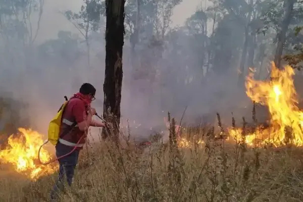 El mapa del daño de los incendios en Libres y Atltzayanca se trabajó con imágenes del sensor Landsat del Servicio Geológico de Estados Unidos
