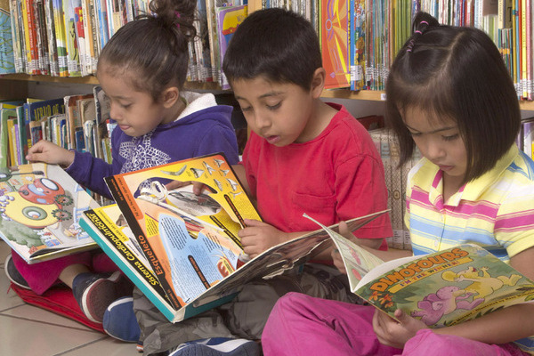 Esta colección de libros infantiles busca promover el desarrollo cognitivo de niños, estimular la imaginación, y la comprensión lectora