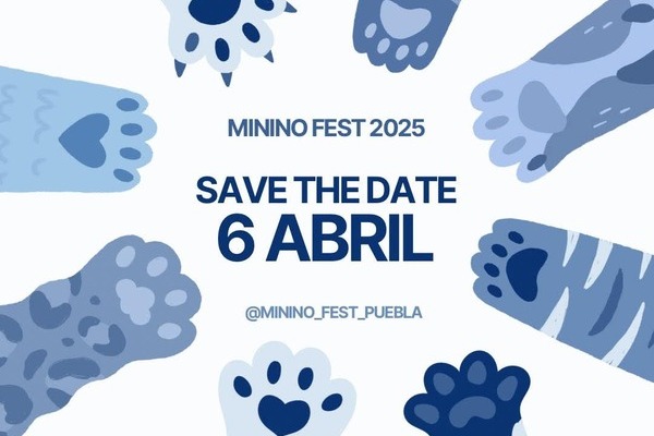 DÓNDE IR | ¿Eres catlover? El 6 de abril habrá un Minino Fest 2025 en Puebla