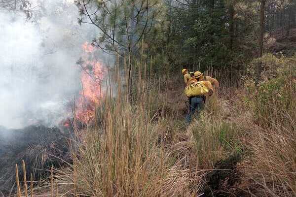 Brigadas extinguen al 100% el incendio forestal en el municipio de Tlachichuca