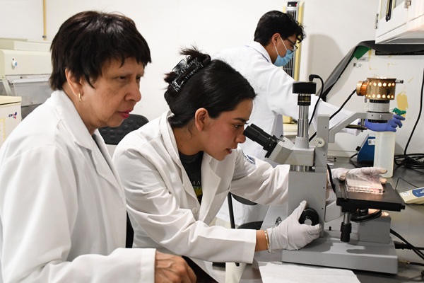 BUAP | Con modelos computacionales, investigadores predicen y describen la regeneración epitelial