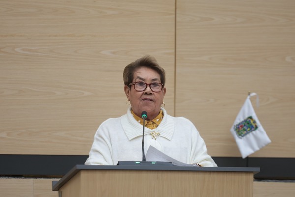 En sesión ordinaria del Congreso se presentó una iniciativa de reforma a la Ley Ganadera, para evitar riesgos y proteger a las abejas