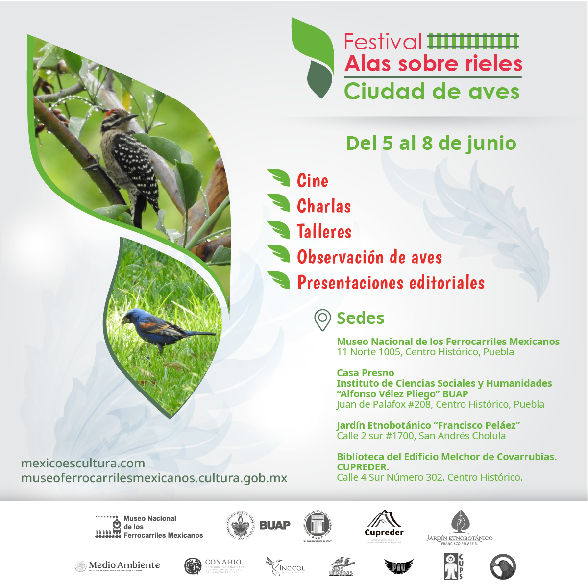 El Festival Alas Sobre Rieles ofrecerá una serie de actividades como conversatorios, cine, talleres y observaciones de aves