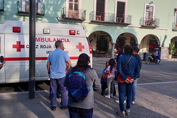 Perros callejeros se van sobre niña en el Zócalo de Tlaxcala; Ayuntamiento descarta que fuera mordida de gravedad