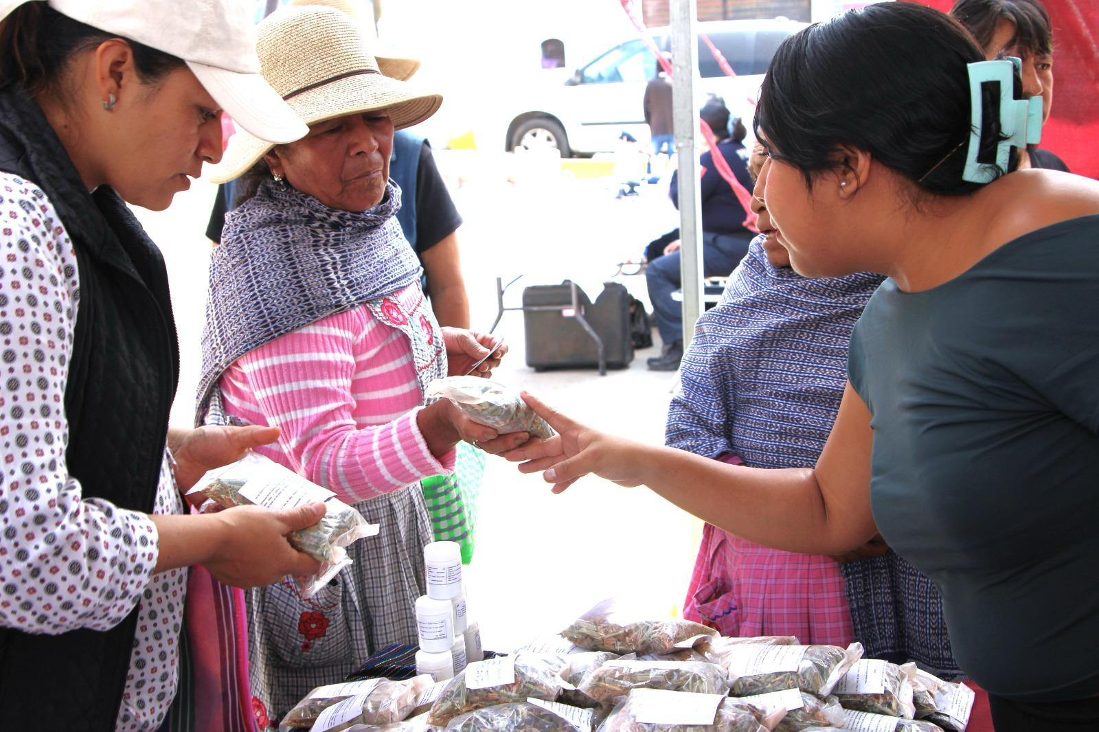 La Jornada Imparable contó con la participación de dependencias de los tres niveles de gobierno: municipal, estatal y federal