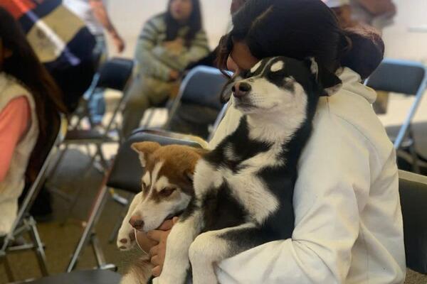 Acerca Ayuntamiento de Puebla servicios de bienestar animal a familias de Miravalle