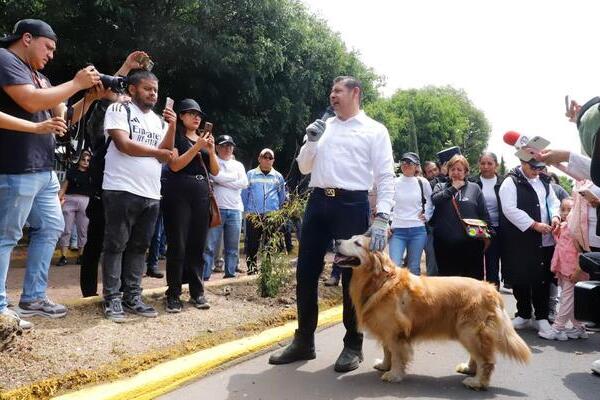 Armenta espera que la primera Casa de Seres Sintientes se ubique al sur y contará con un entrenador para los animales que se den en adopción