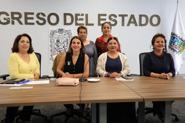 La Comisión del Congreso hizo un llamado a las instituciones de salud a cumplir con los "Diez Pasos para una Lactancia Materna Exitosa"
