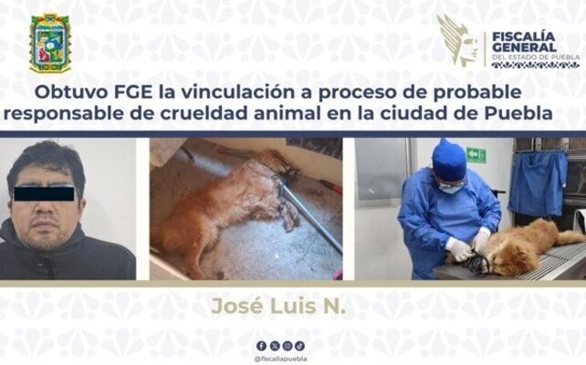FGE Puebla logra prisión para hombre que mató al perrito "Chon", en la colonia Bugambilias