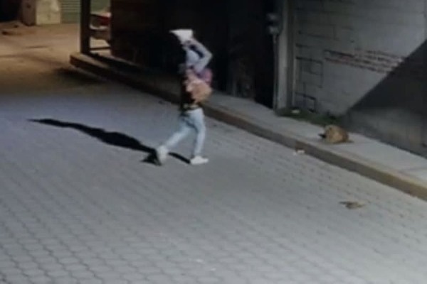 "El Colamocha", agresor del perrito "Huesitos" podría ser sentenciado en junio