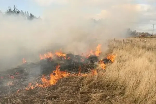 La iniciativa propone reformar el artículo 415 Código Penal local para distinguir la quema ilegal (aunque no derive en gran incendio)