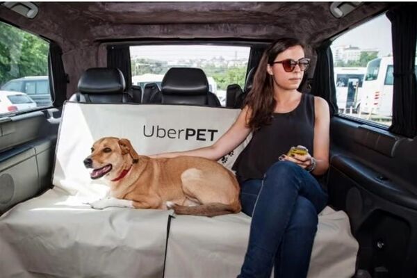 Con Uber Pet, los usuarios podrán reservar un viaje desde 30 minutos hasta 90 días antes para poder trasladarse con un perro o un gato