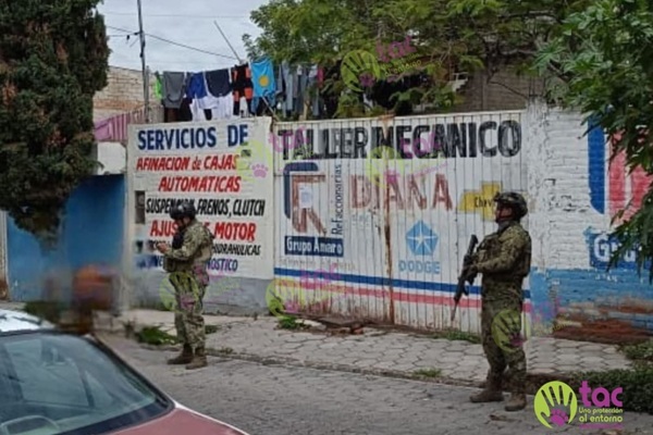 Por primera vez, la Marina interviene una propiedad en Tehuacán por un caso grave de maltrato animal