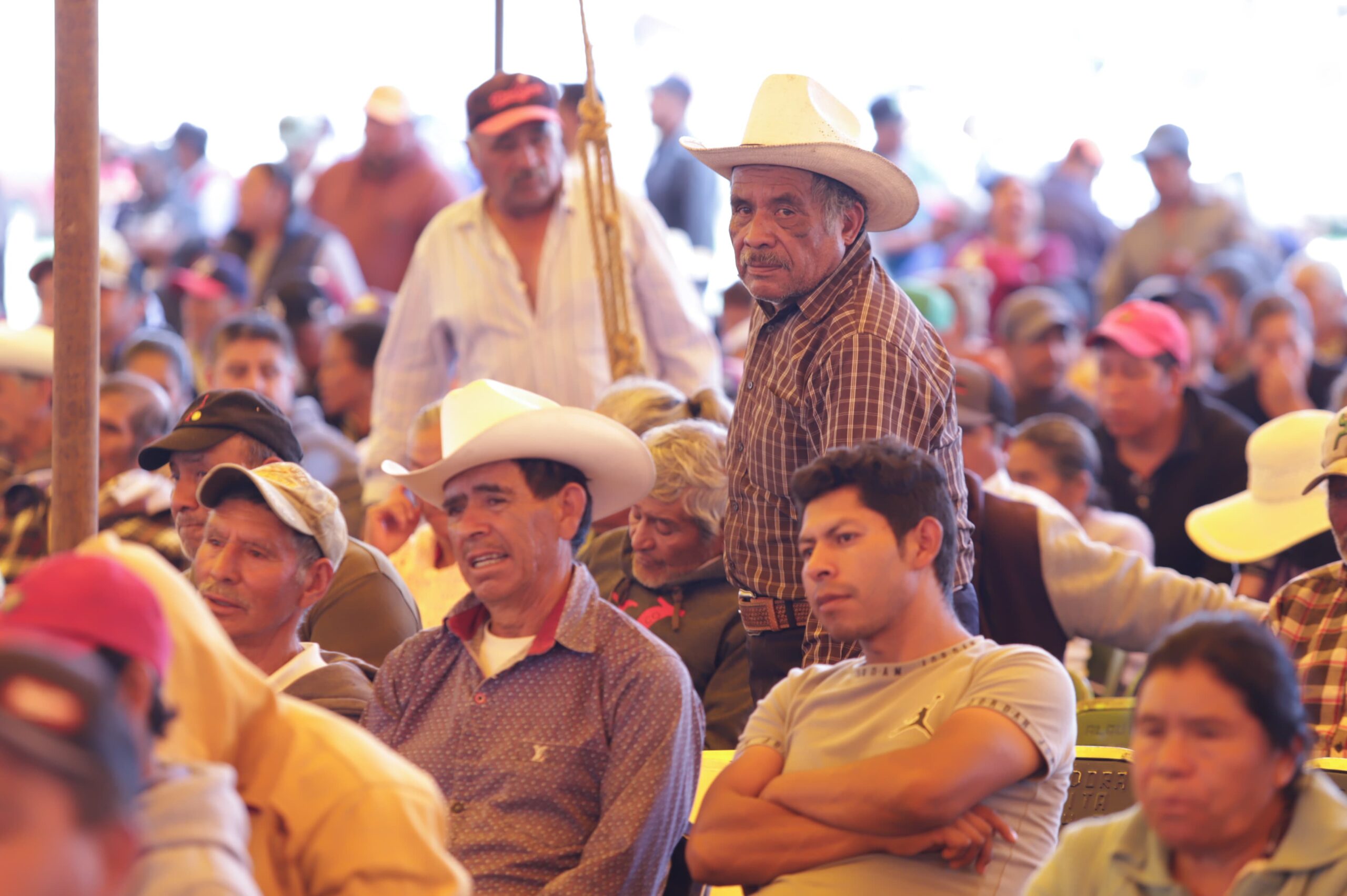 Los productores beneficiarios recibieron bultos de fertilizante, insumos para el control de plagas y enfermedades y mejoradores de suelo