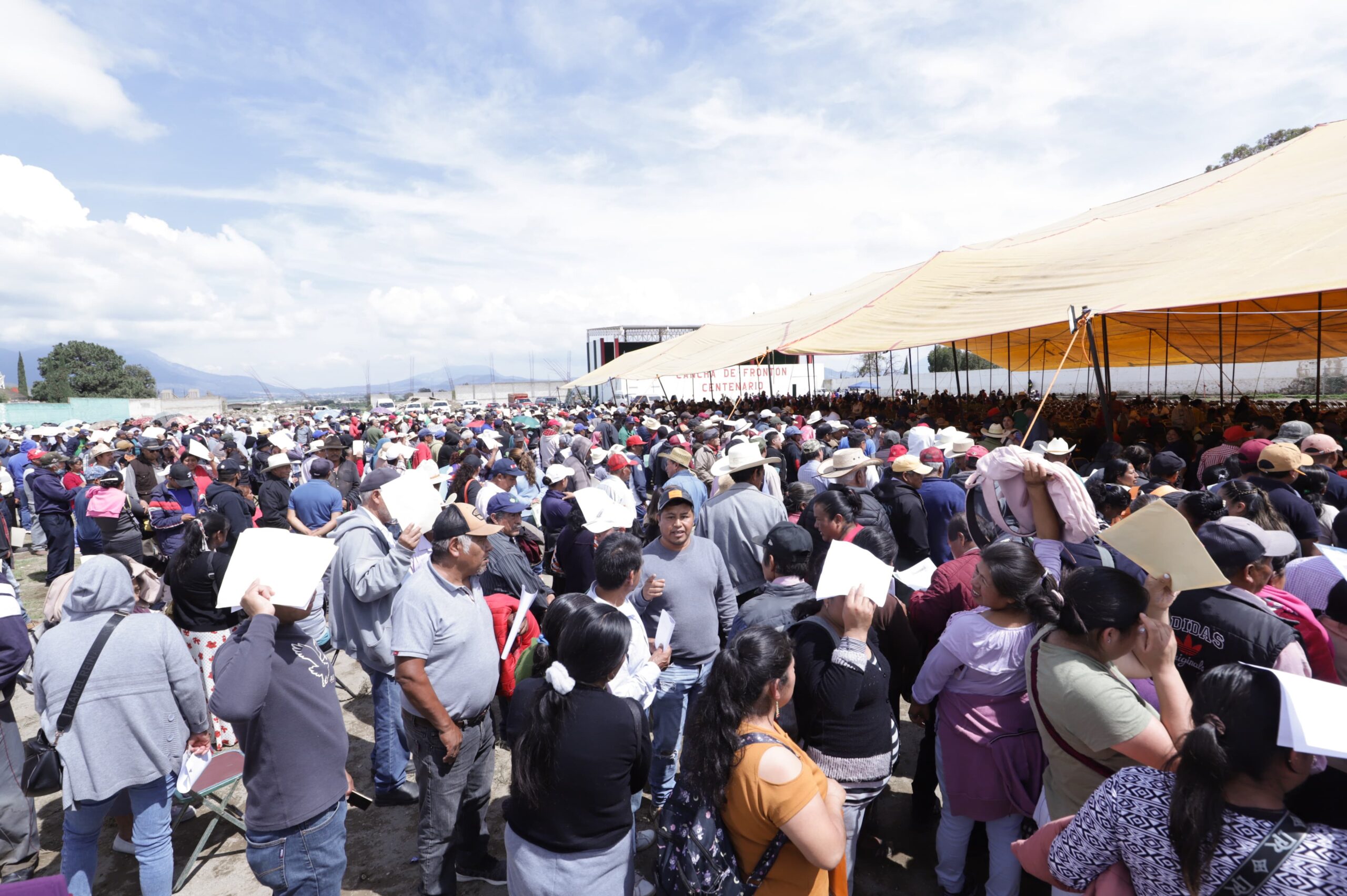 Los productores beneficiarios recibieron bultos de fertilizante, insumos para el control de plagas y enfermedades y mejoradores de suelo
