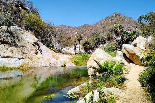 Del 2 al 6 de junio se desarrollaron mesas de trabajo y conferencias magistrales en la Jornada Internacional por el Ambiente