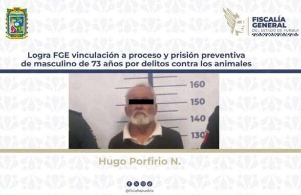 Juez vinculara a proceso a Hugo Porfirio N. por su responsabilidad en delitos contra los animales