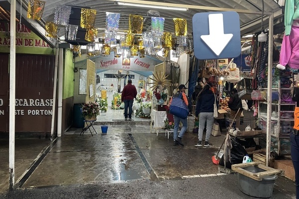 Patitas Enlodadas denuncia venta de animales en malas condiciones en Mercado Hidalgo