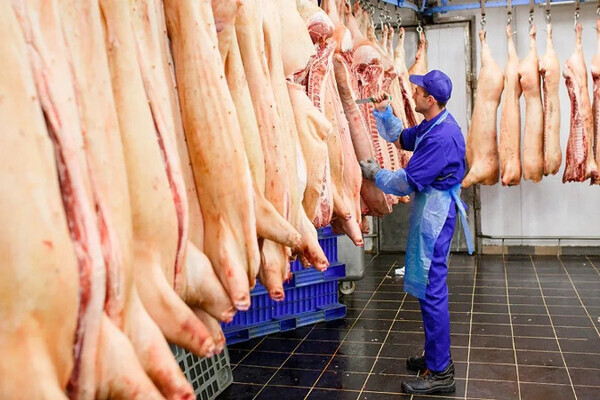 Dependemos en 50% del exterior, fundamentalmente de Estados Unidos y Canadá, lo que habla de una profunda dependencia comercial