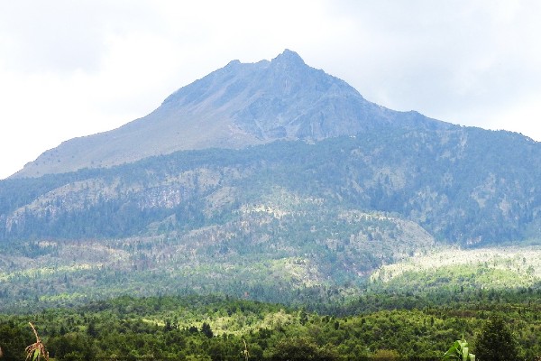 Ecoparque Tlalli-Malinche: costaría 2 mil mdp y se cambiaría uso de suelo en 1.4 hectáreas; Semarnat revisa por segunda vez el proyecto