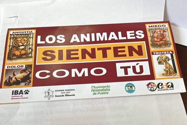 En Tehuacán, inicia campaña de sensibilización Los animales sienten como tú