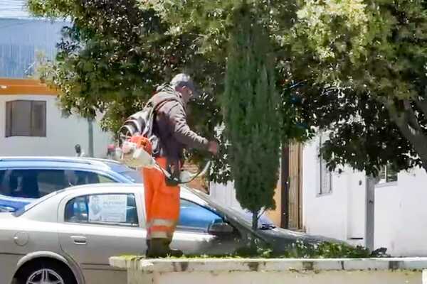 Más allá de mejorar la imagen urbana en Tlapancalco, buscan devolverle vida a los espacios compartidos y convertirlos en lugares seguros