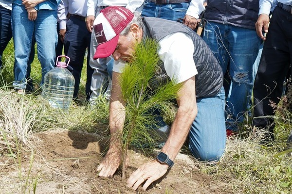El programa “Raíces del Futuro” contempla la plantación de 80 mil árboles en más de 60 hectáreas en distintas zonas del municipio de Puebla